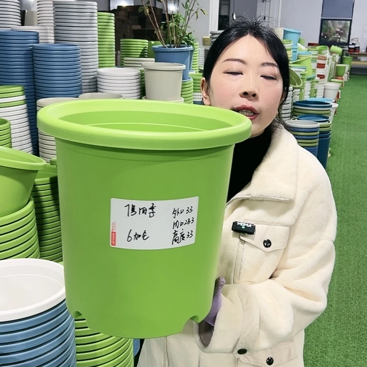 特价7号四季口33高33白色6只无托