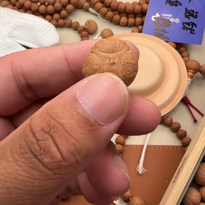 凤眼菩提吊坠尼泊尔19