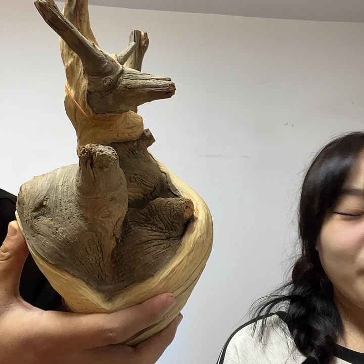 道***然柏木（崖柏）静下心来看看我的小