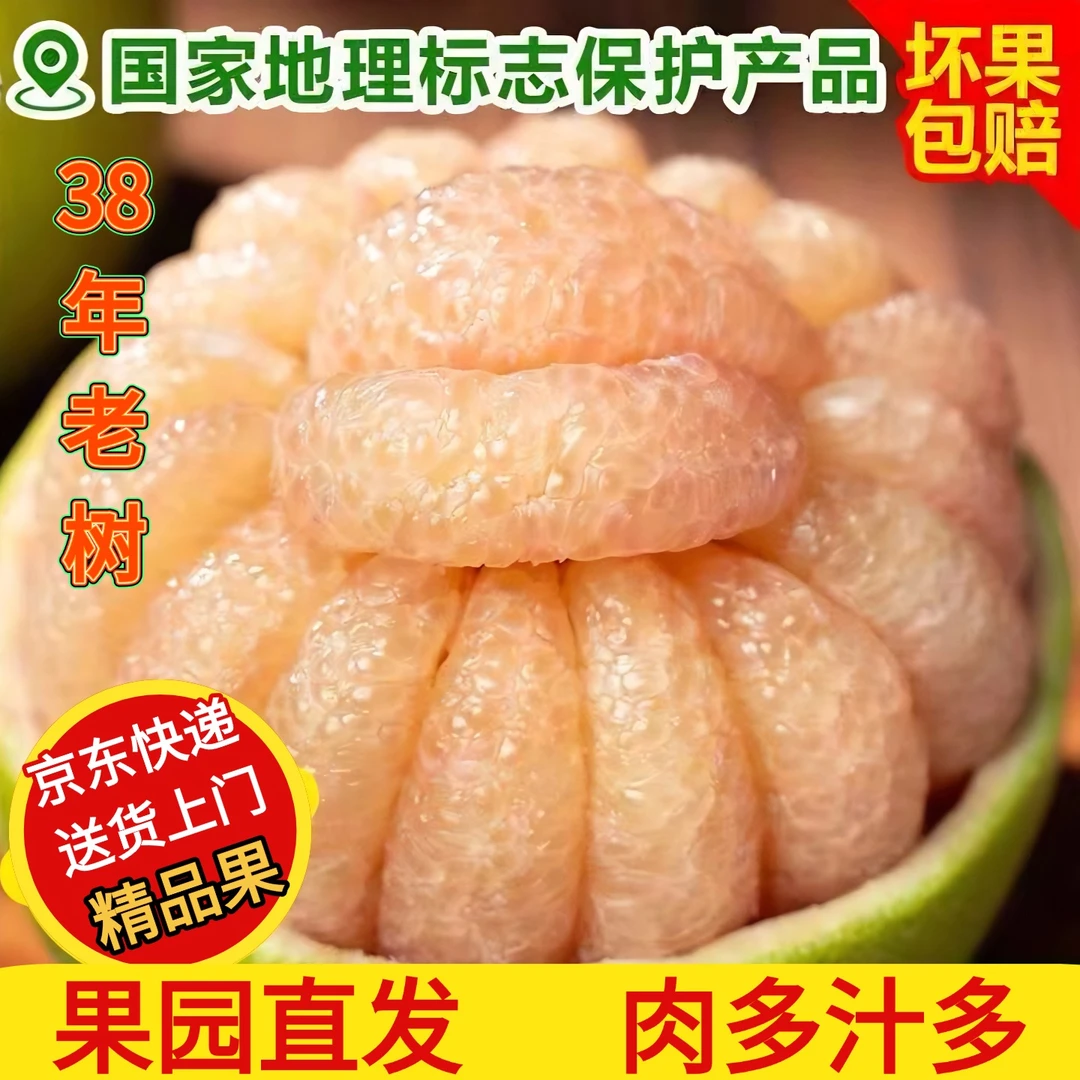 正宗仙游度尾文旦柚新鲜当季采摘京东包邮