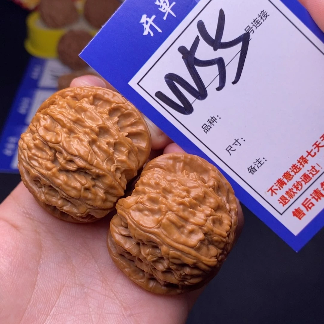 W55链接 白狮子42尺 00000