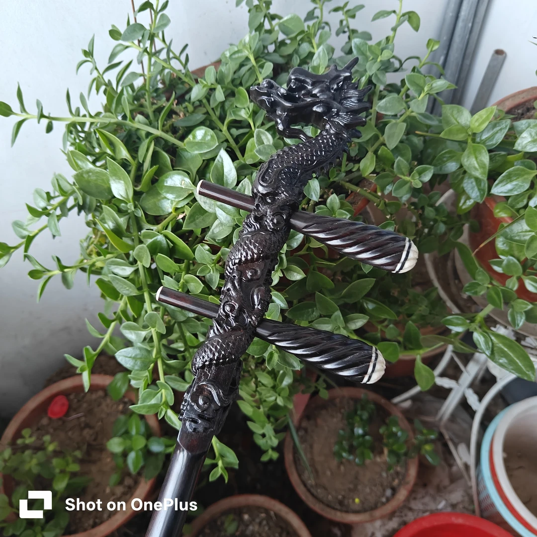 精品黑檀龙头二胡专业演奏琴民族乐器