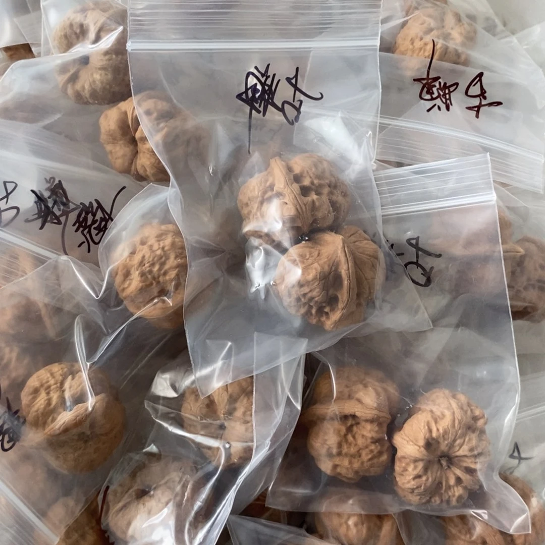 文玩核桃吊坠古蝉有瑕疵