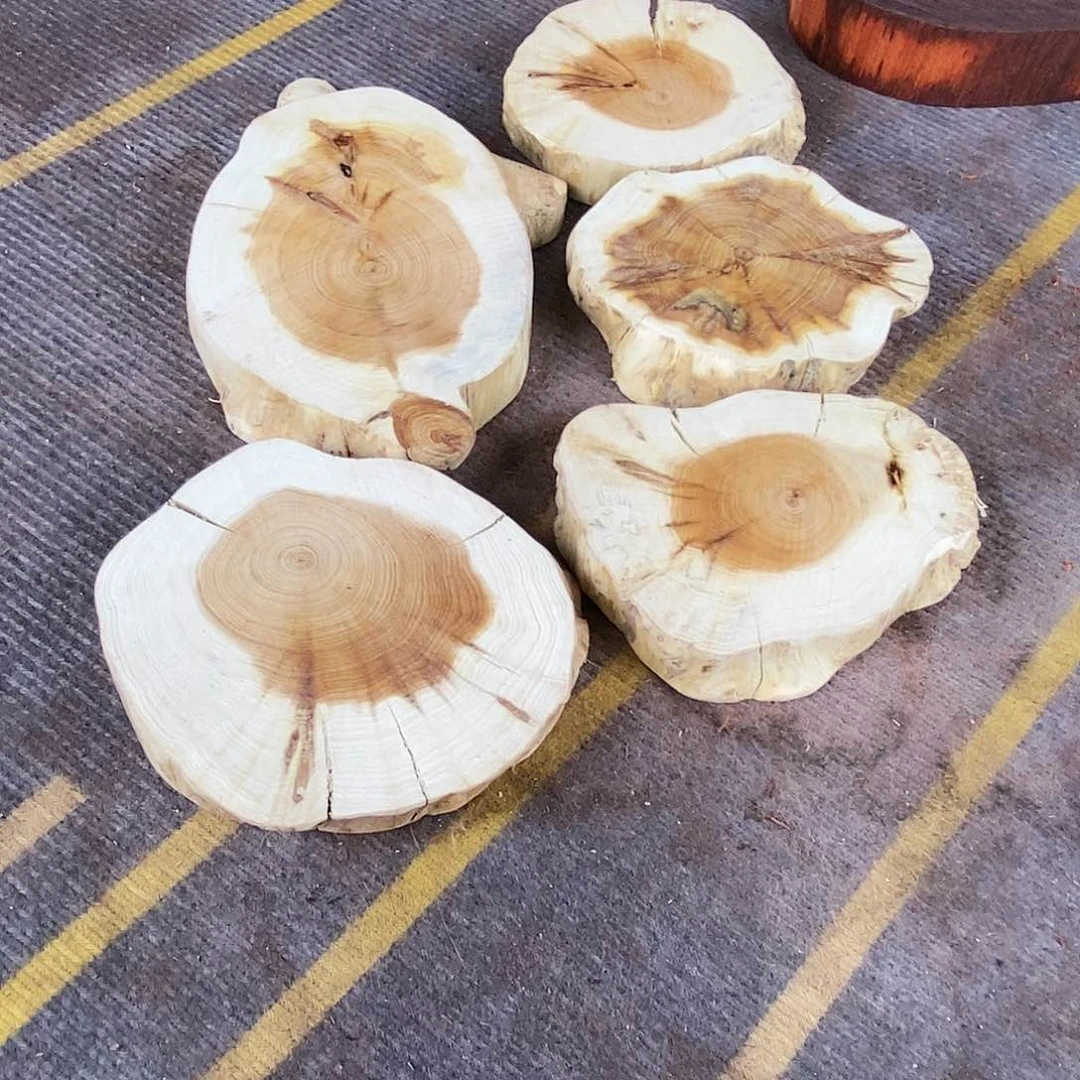 柏木（崖柏）740五个一起