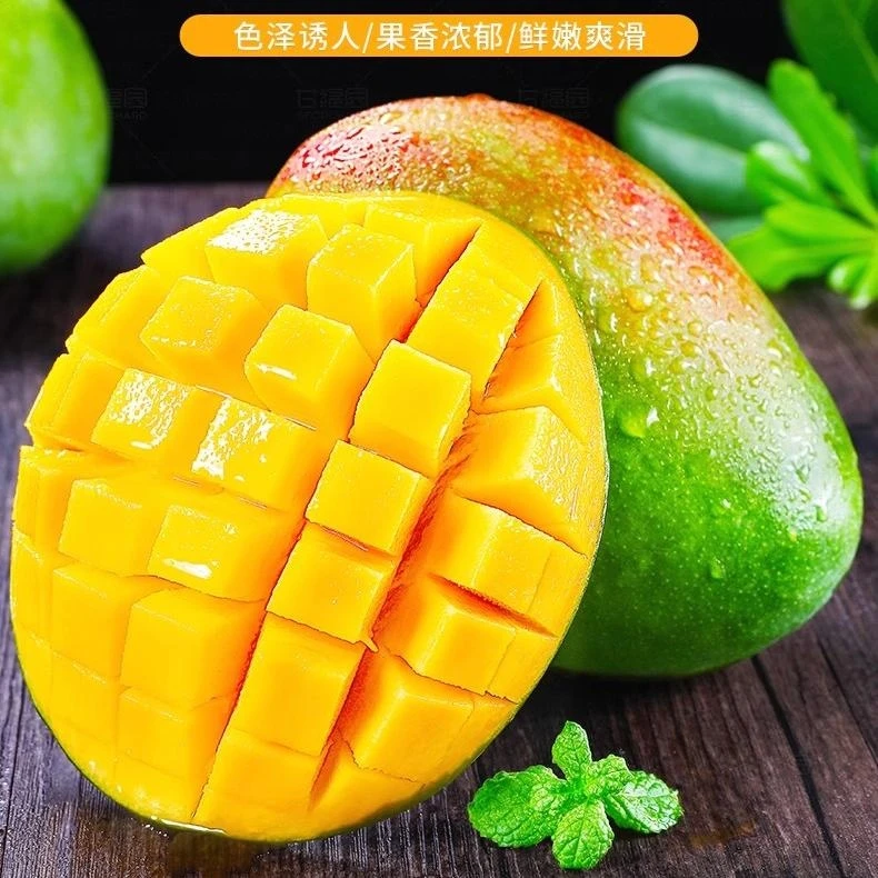 正宗四川攀枝花凯特芒果新鲜当季水果现摘现发大青皮芒果整箱包邮