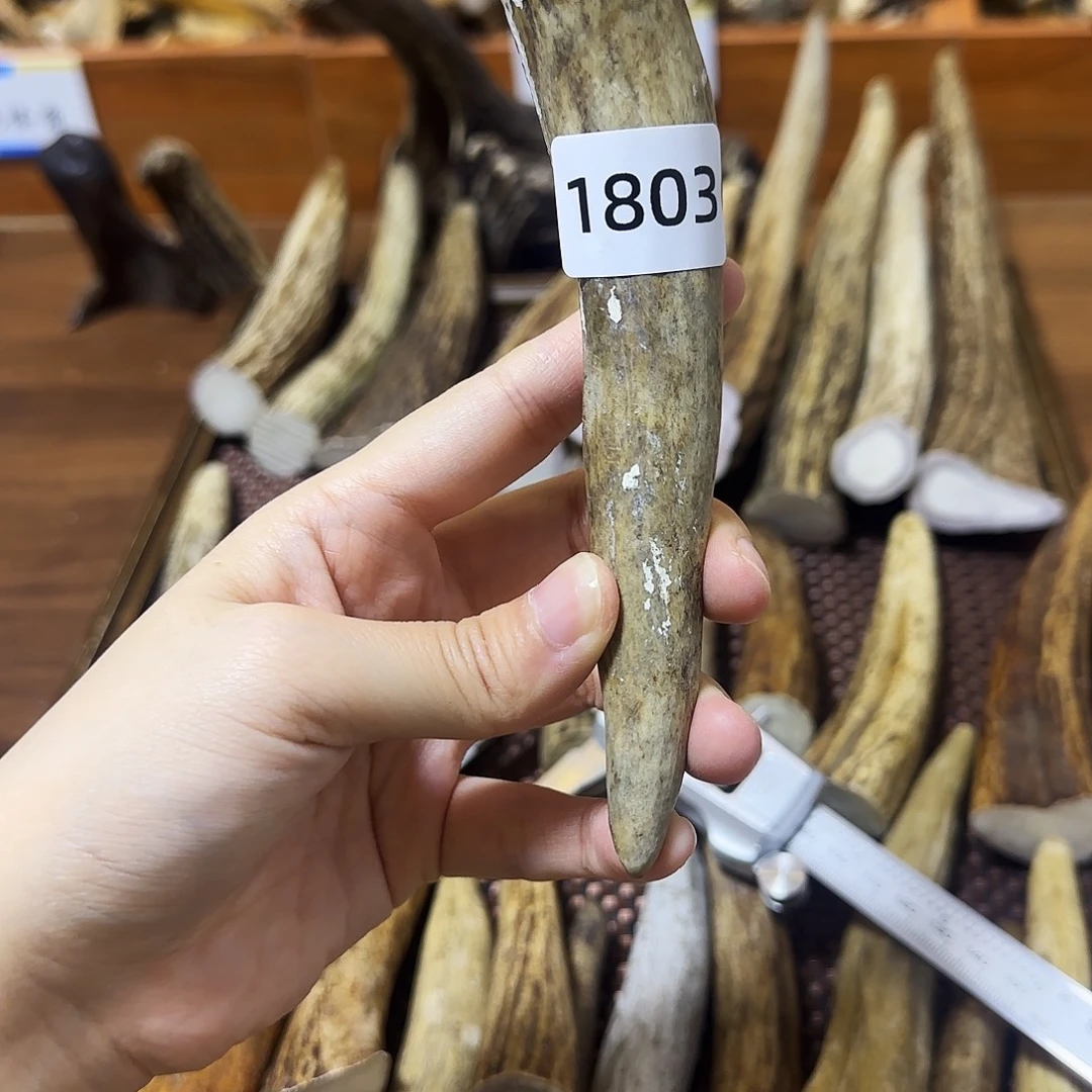 鹿骨手串/手链1803角尖