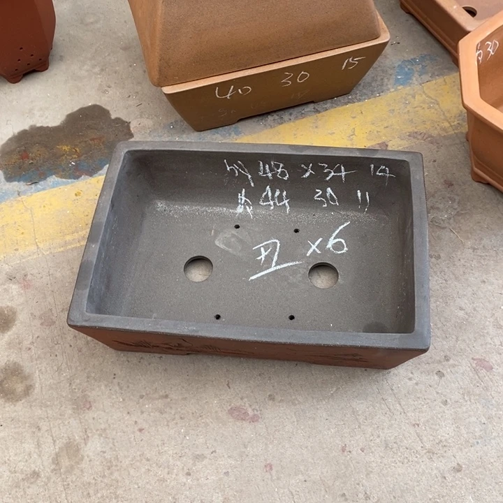 花盆紫砂只顾看手机