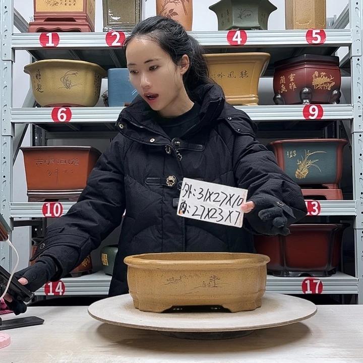 紫砂花盆紫砂花盆