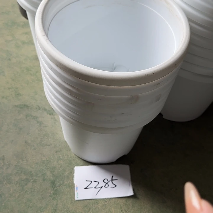 编号2385瑕疵特价