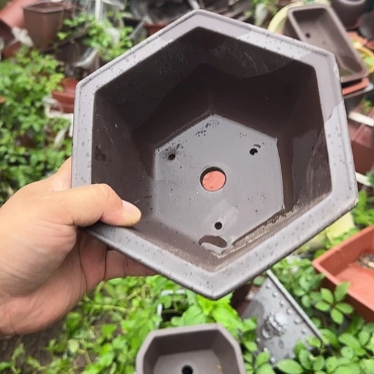 我的朋友在哪里我想我可以