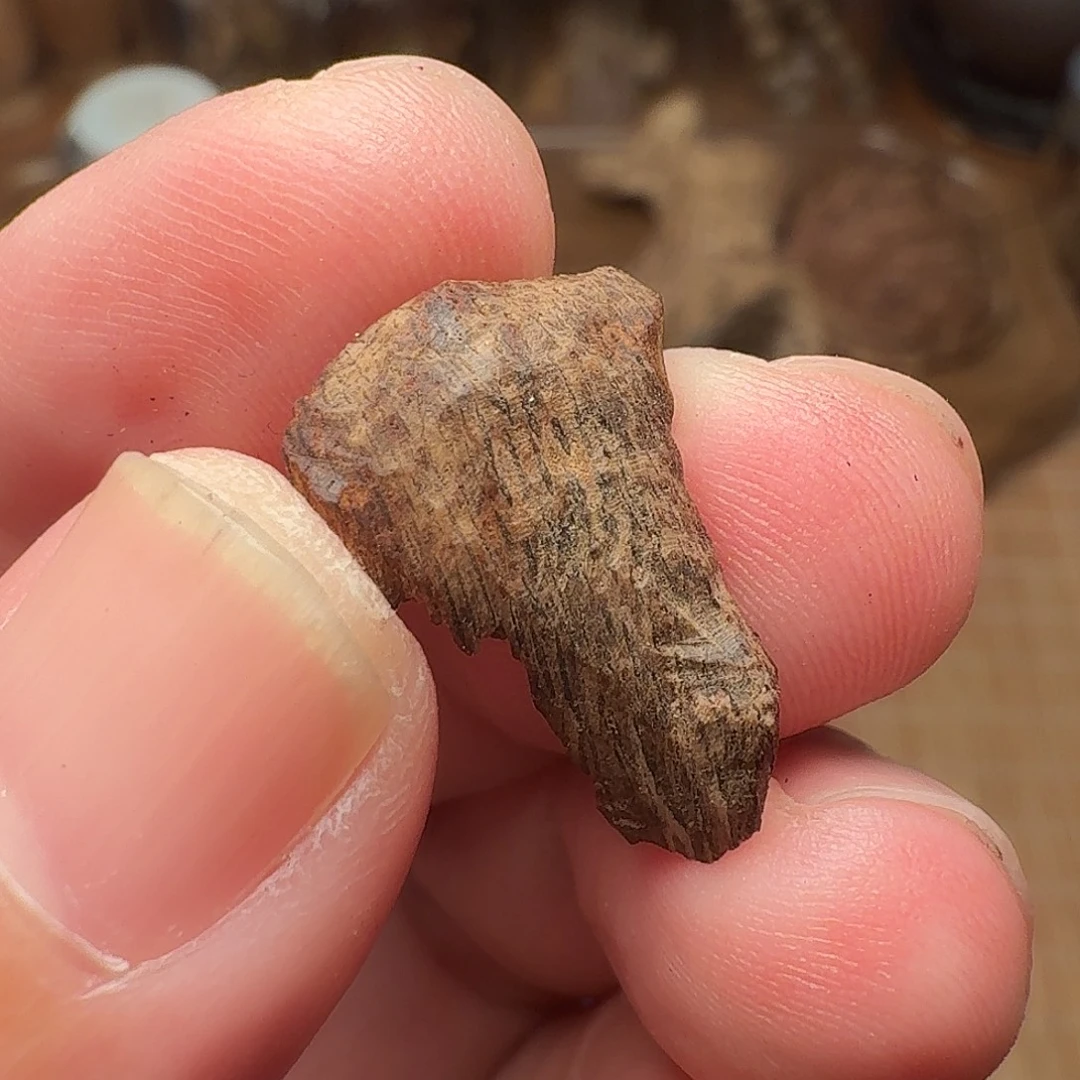 沉香沉水缅甸密支那0.54g