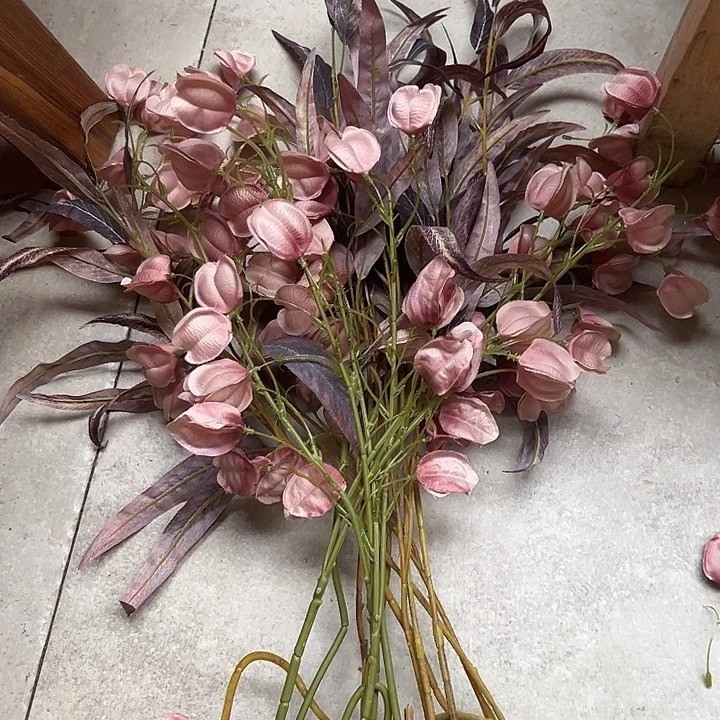 拍品大福利大大福利大福利