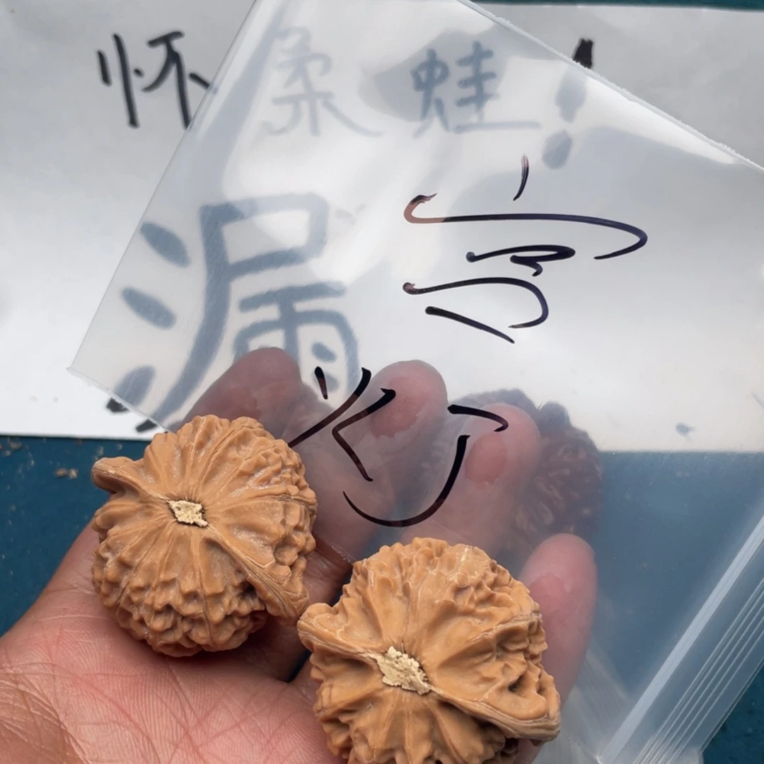 核桃753753375573573735573