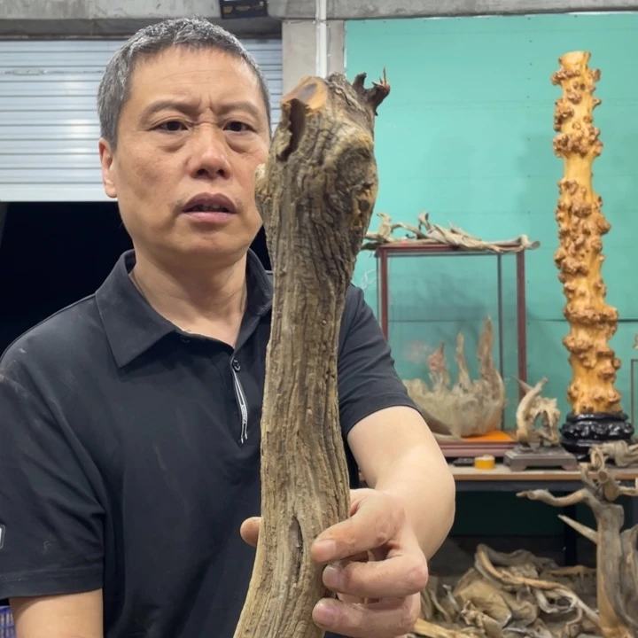 5****9我们都是好孩子呀