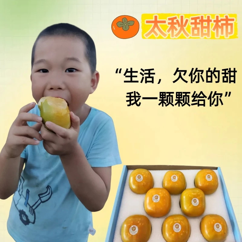 【顺丰包邮】正宗高山太秋甜柿  桂林柿乡果园直发 精装 家庭装