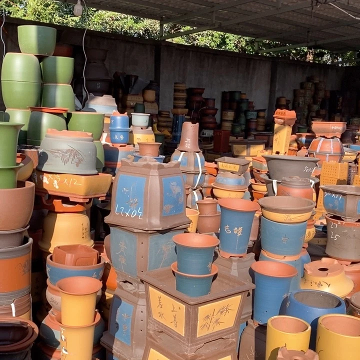 紫砂花盆盆栽花卉苗木种植