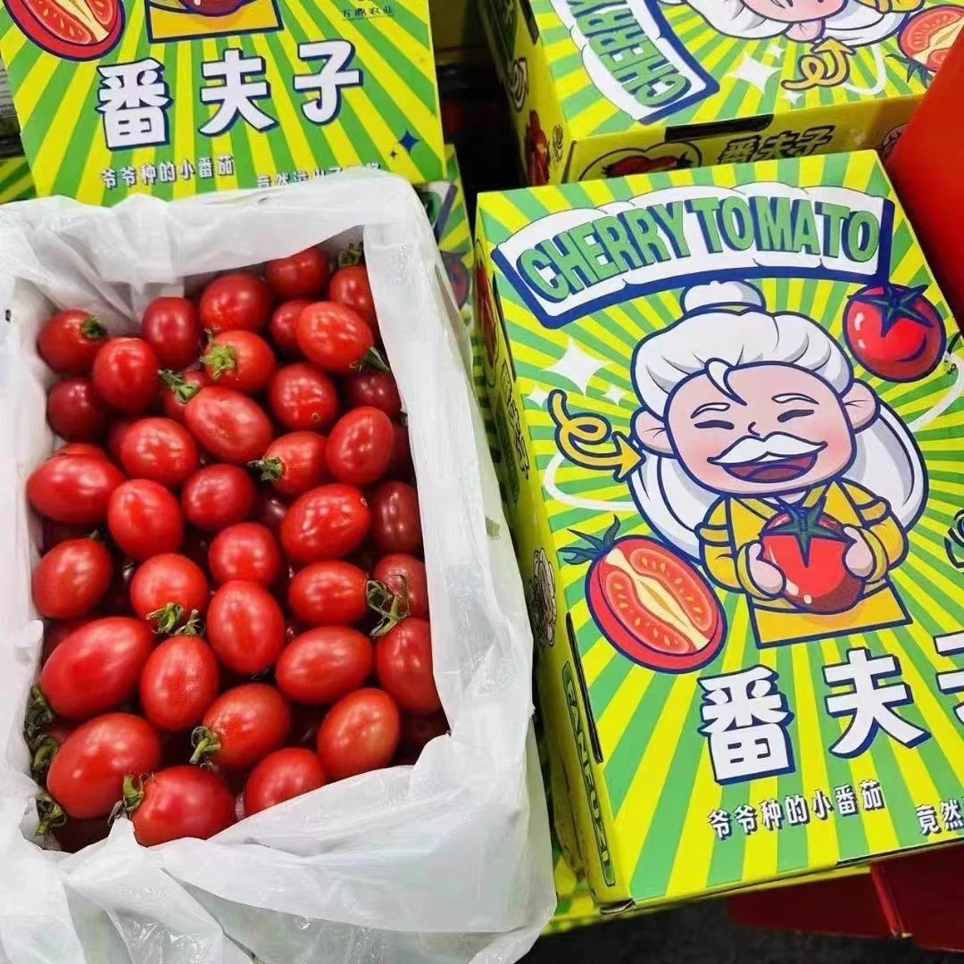 只发川渝& 番夫子粒粒爆浆圣女果爆汁番茄味儿浓郁皮薄又脆嫩2斤