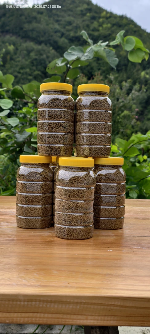 画眉鸟食饲料提性壮膘手工打彩营养丰富适合斗鸟唱鸟