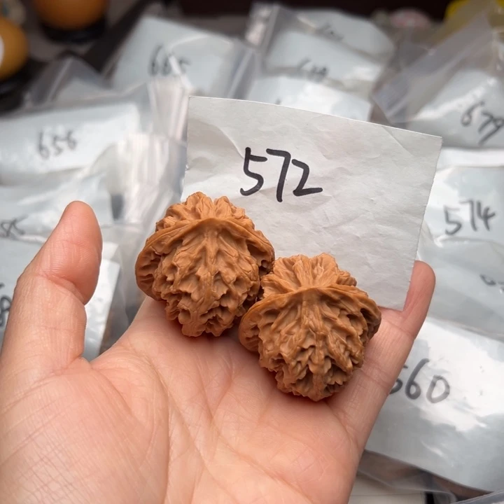 核桃40尺寸苹果园