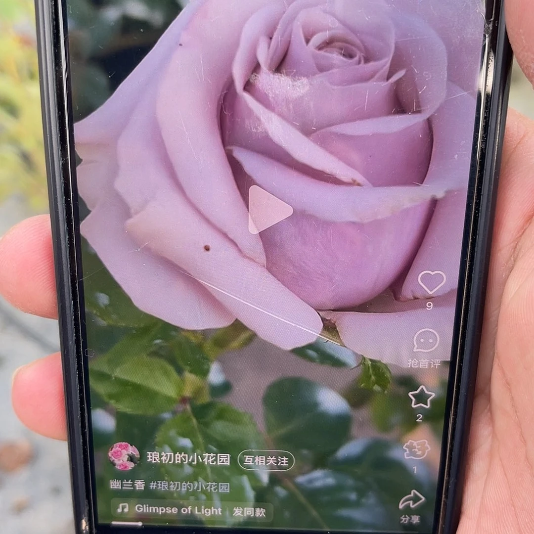 无花朵———-幽兰香 福利款