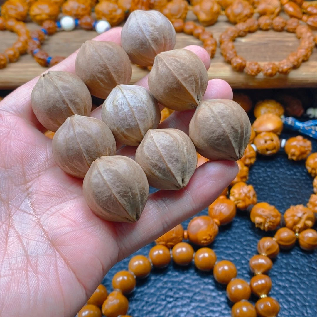 手串/手链橄榄核老料25×28正四花铁核素核