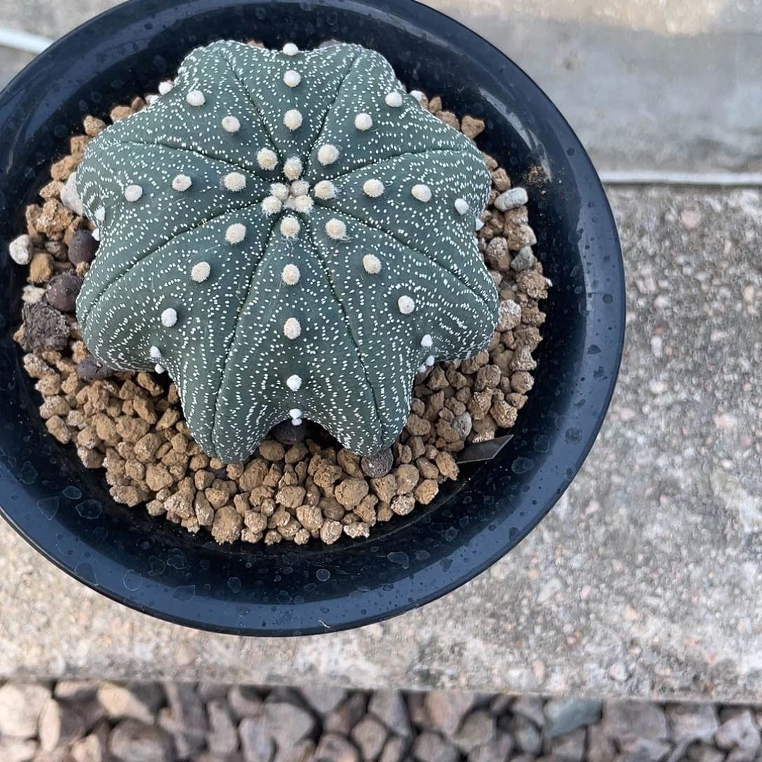 完全开放金****1特价1 980