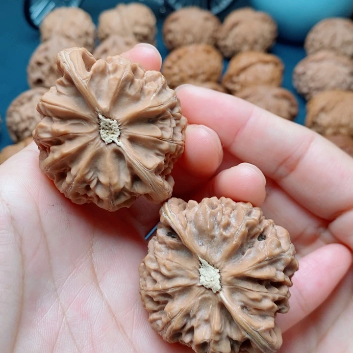 奋***生把件文玩核桃宫灯47全品
