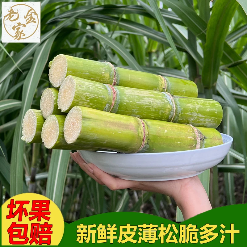 陶山甘蔗老金家正宗青皮绿皮甘蔗现砍新鲜水果当季一箱3/5斤果蔗