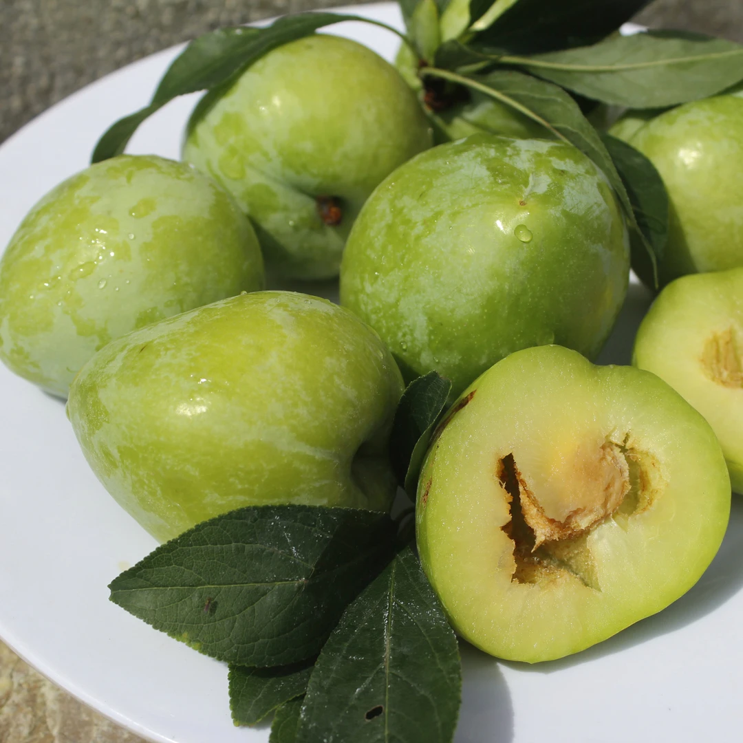 奈李应季李子新鲜水果青脆李脱骨油奈李冰糖大果整箱包邮产地精选