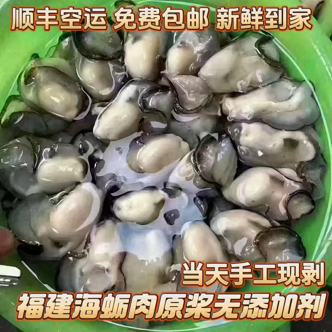 本港新鲜海蛎肉源产地现剥新鲜到家（顺丰包邮）海蛎子