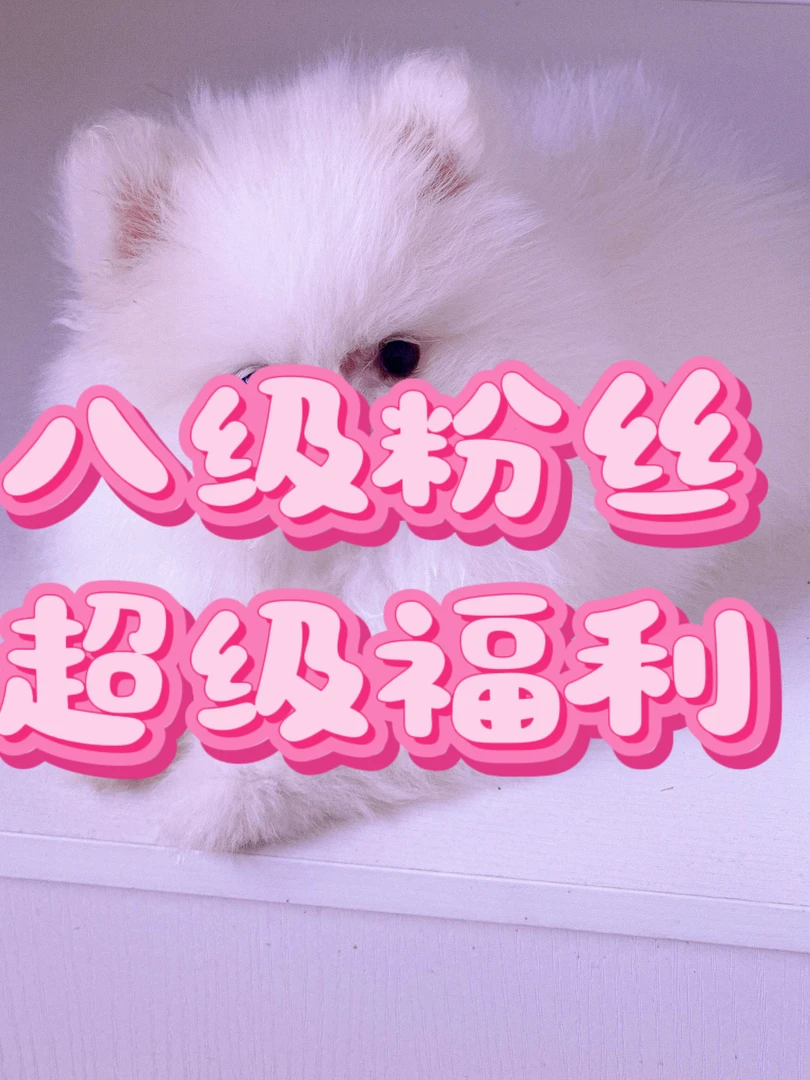 星月菩提专拍链接，实物以直播间为准