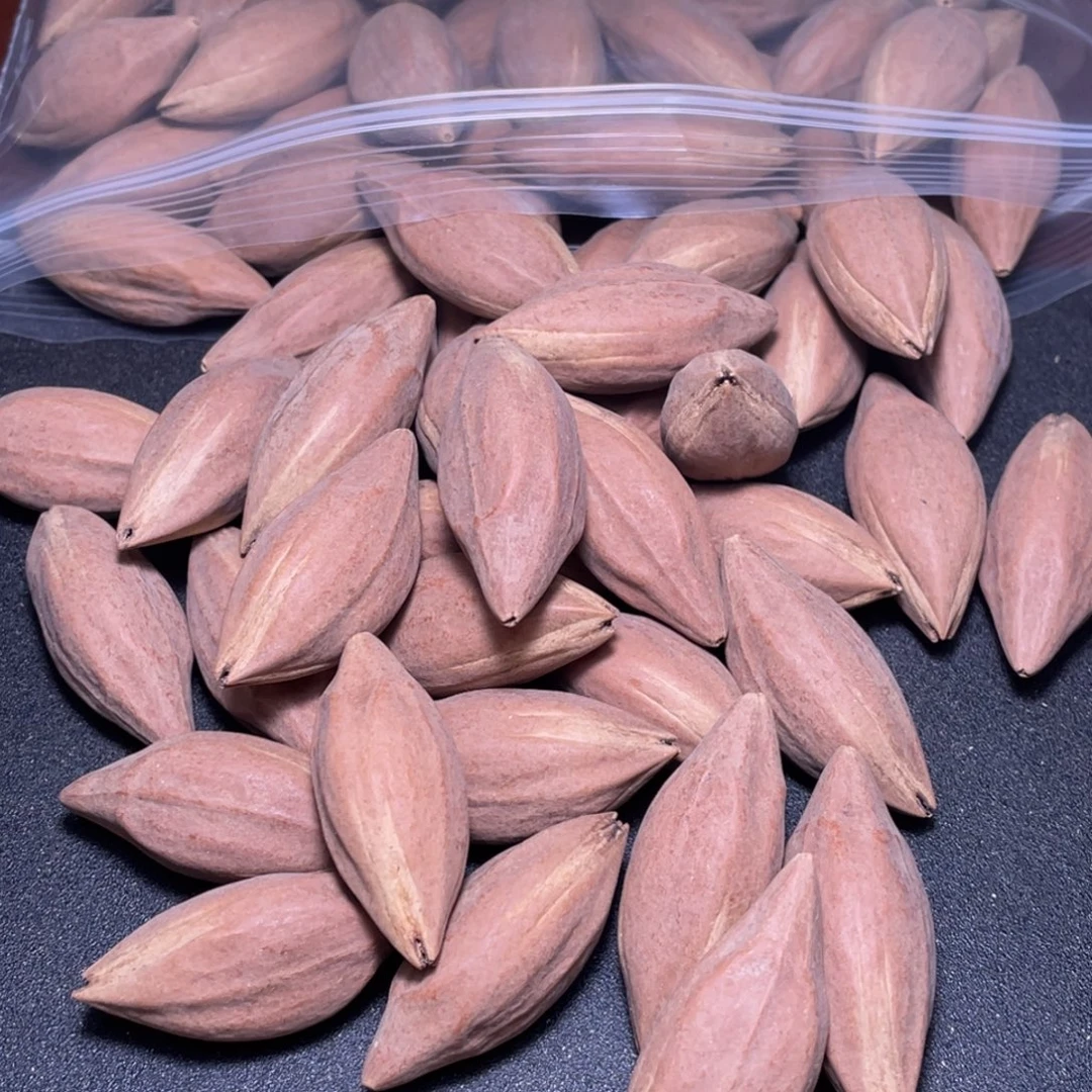 午***e手串/手链橄榄核不退不换