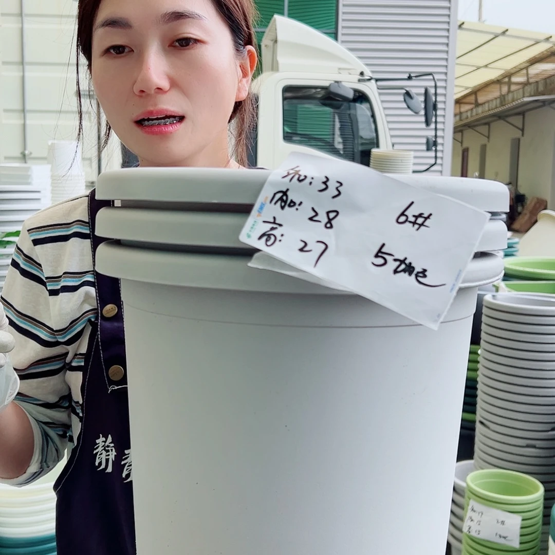 四季盆6#灰白5个无托