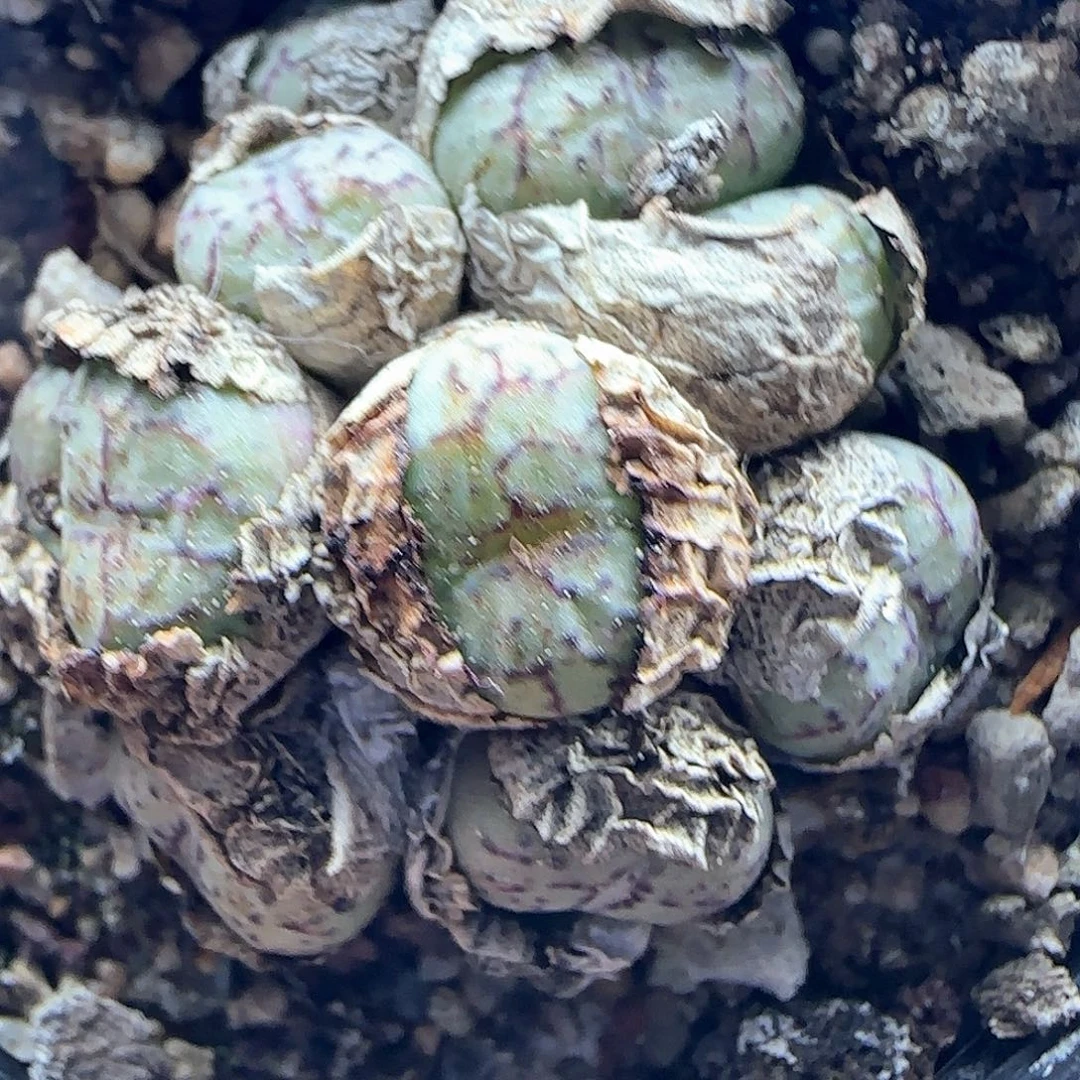 哈哈哈哈哈哈44918