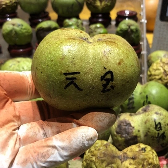 吊坠桃核核桃核桃