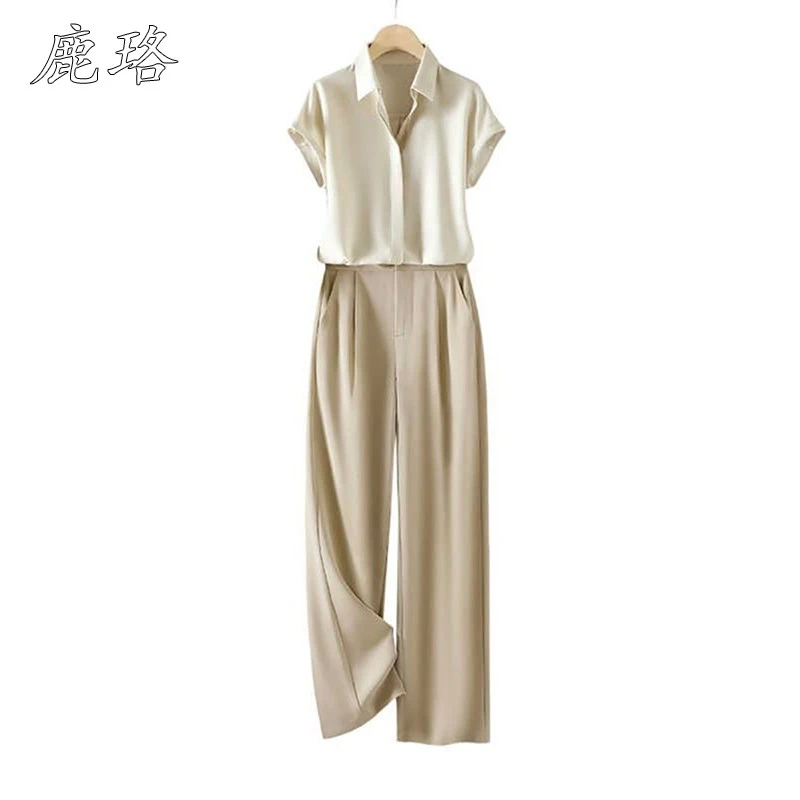 2025新款冷淡系高级感干练气质时尚职业衬衫裤子两件套装女装夏季