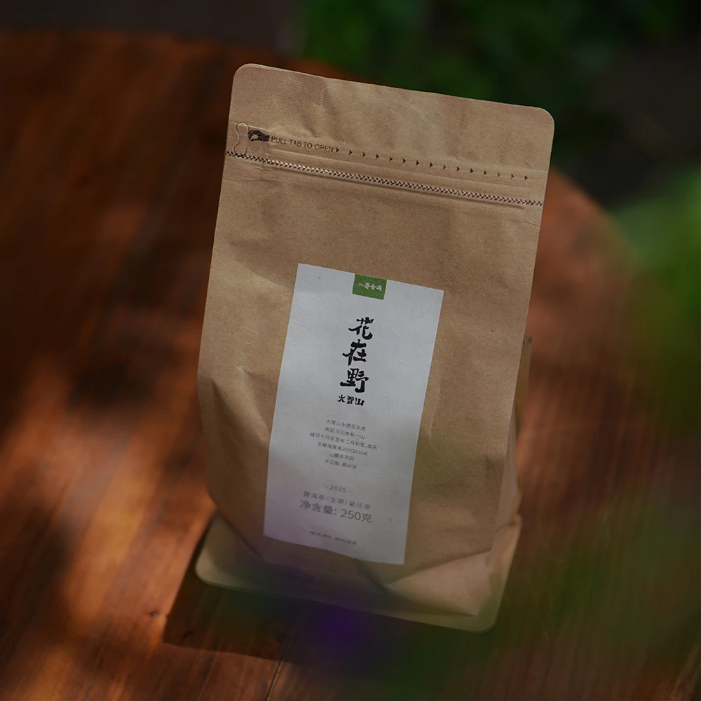 观一分店 |入界·2025 花在野 李扬老师茶叶进化论生茶龙珠 250克