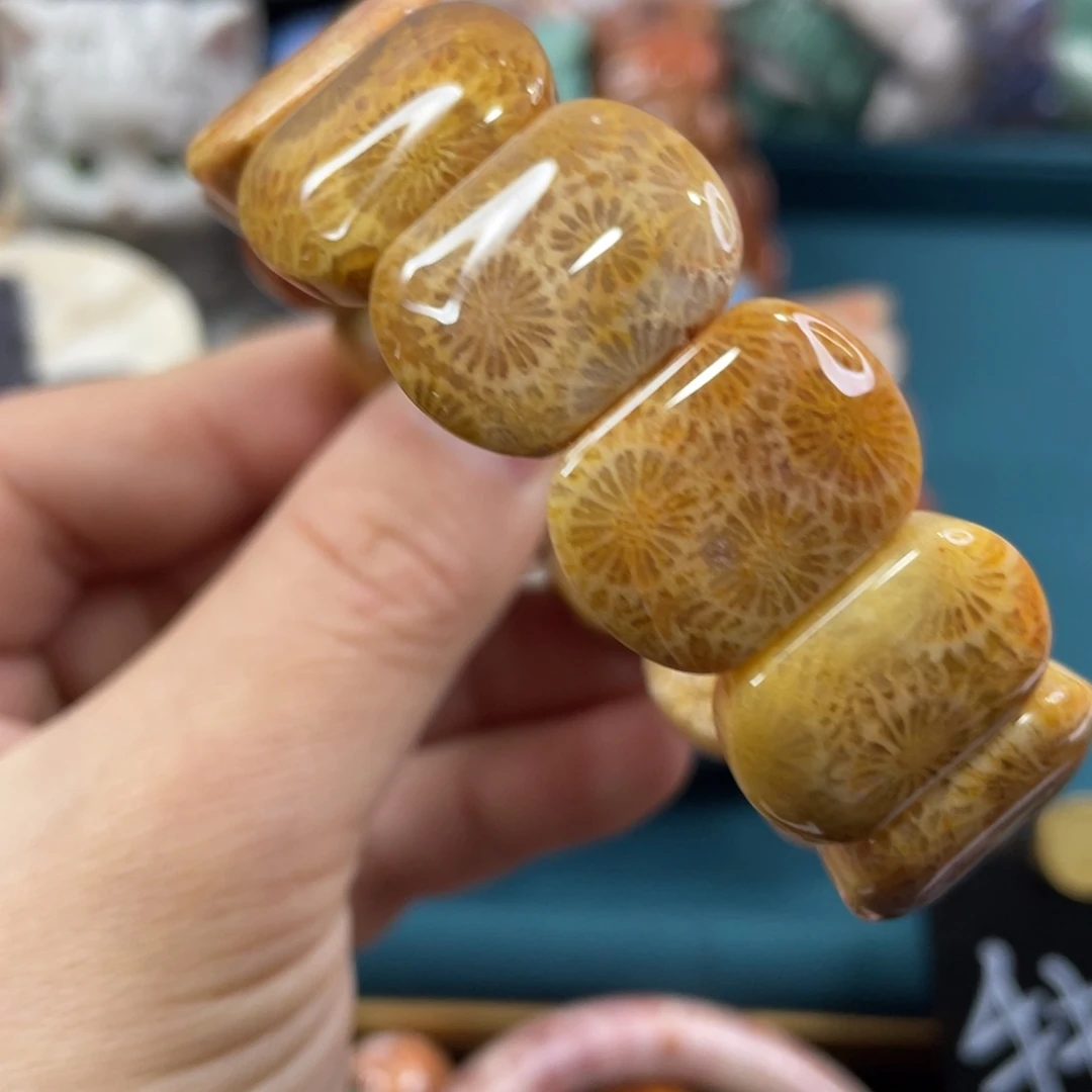 未镶嵌手镯硅化玉