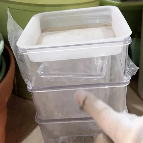 树脂瑕疵透明方盆6个无托