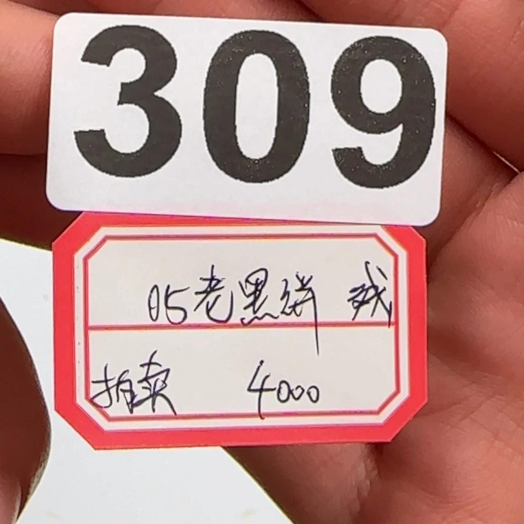 茶杯紫砂飞*龙309 …………………………