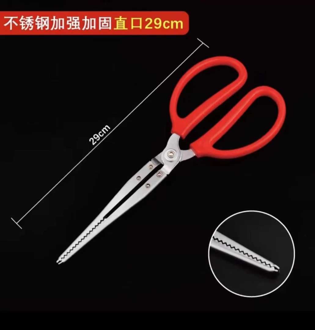 户外主播用的同款夹子夹黄鳝夹泥鳅夹螃蟹夹龙虾夹鱼赶海都能用