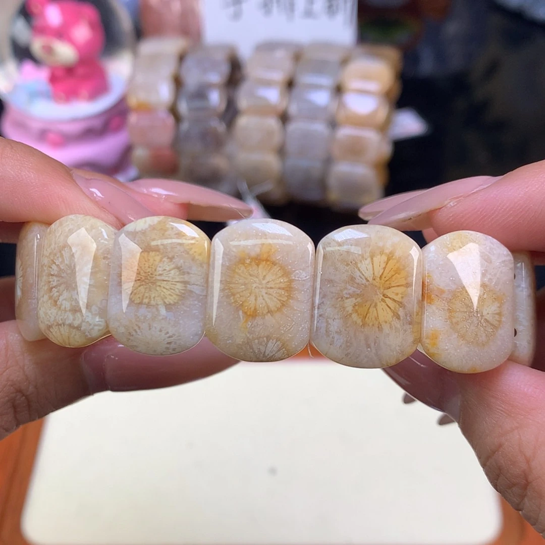 【闪购商品】颈饰未镶嵌硅化珊瑚（珊瑚玉）6号 新品 太美