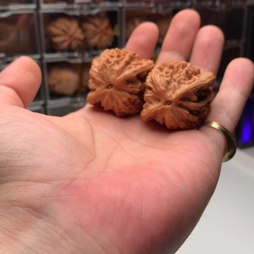 哟****吊坠桃核森森的老卵666