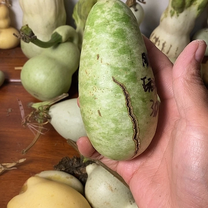 卡***尔青皮葫芦小手把件