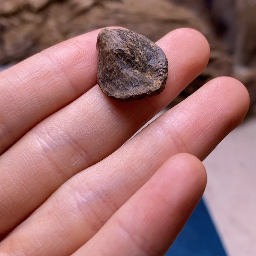 【闪购商品】海南沉水0.54克