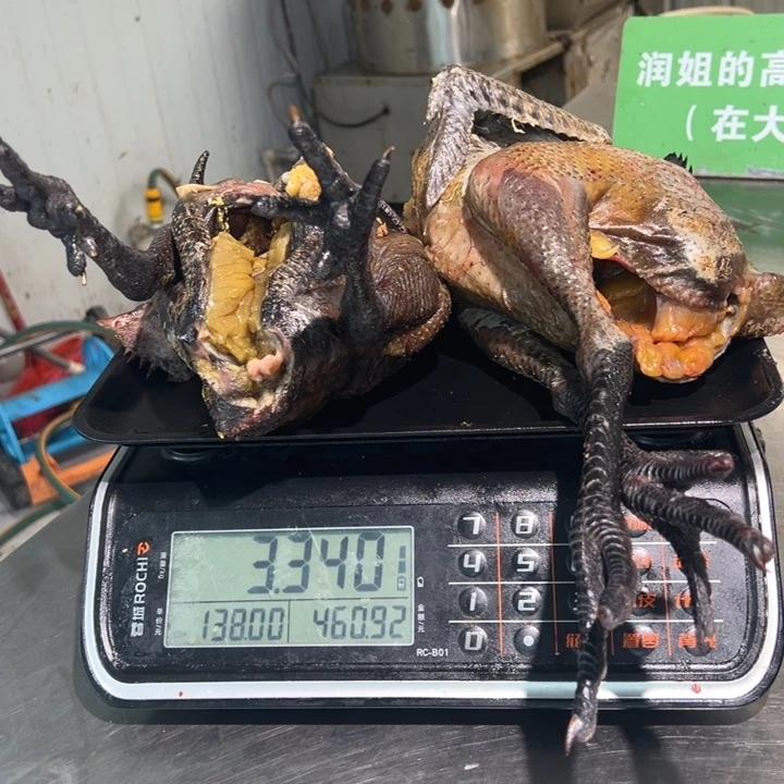 一号母鸡食用农产品中国大陆文**文