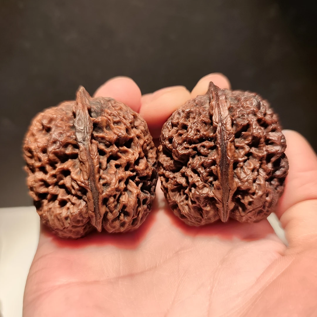 077云南铁核桃41麒麟王彩阴蛤蟆头