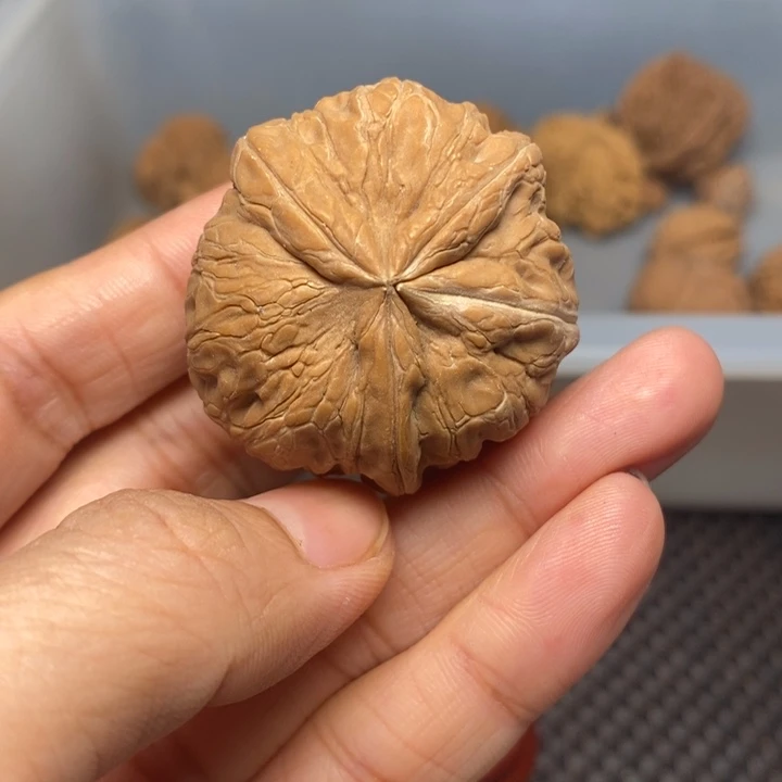 挪***林吊坠文玩核桃文玩核桃异形单只