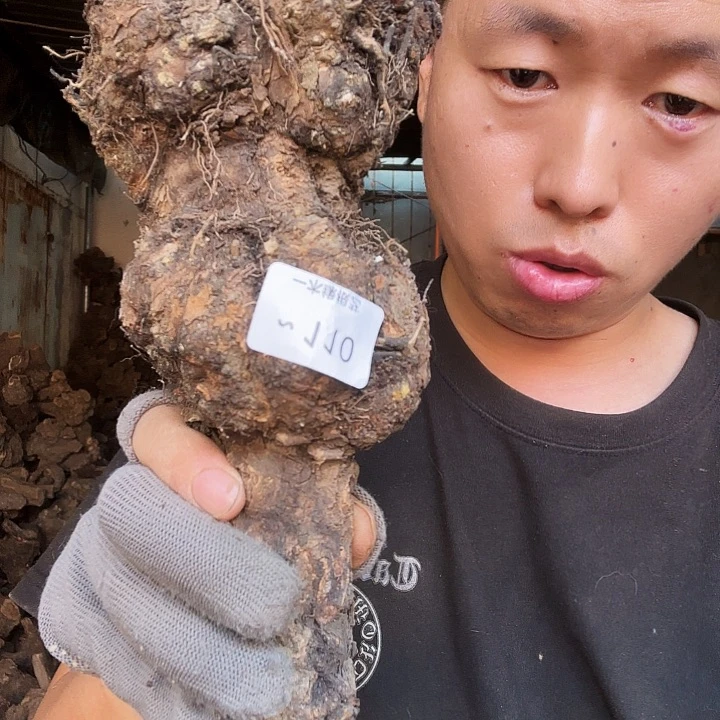 海***1无花朵00000000000110