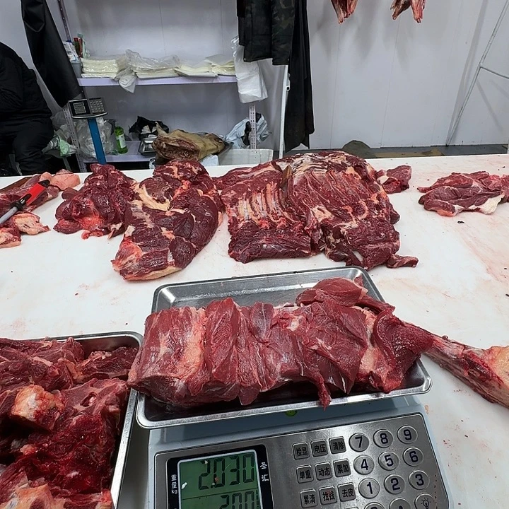 12个月中国大陆上脑